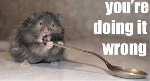 doing_it_wrong_hamster_spoon.jpg