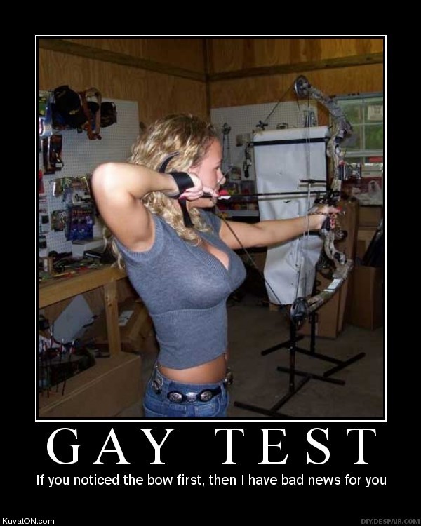 gaytest2.jpg