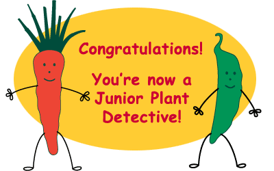congratulations.gif