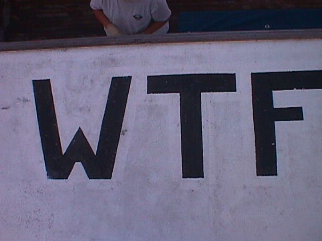 wtf.jpg