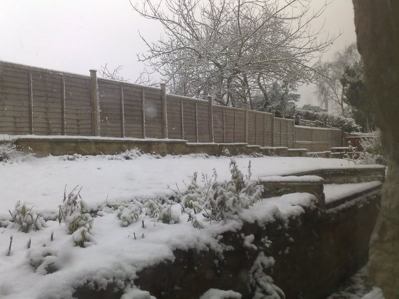 02022009288.jpg