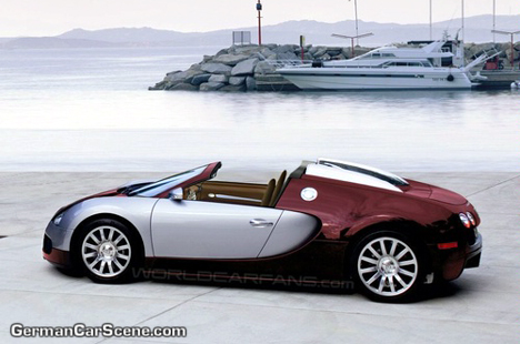 bugatti-veyron-13-4-08.jpg