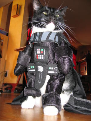 darth-vader-cat-star-wars-1283448344D.jpg