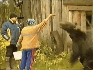 cwv7E.gif
