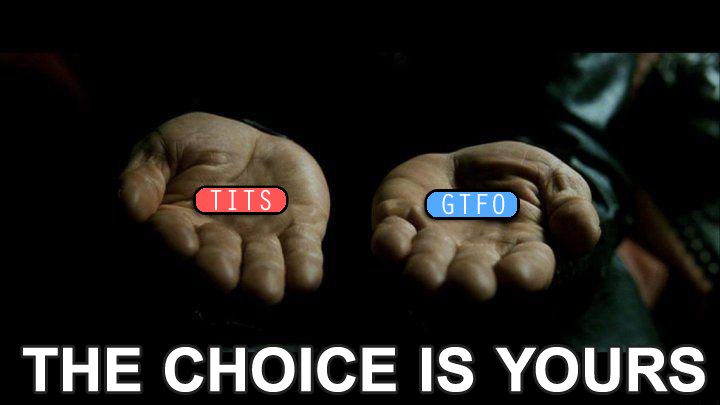the-choice-is-yours-tits-or-gtfo.jpg