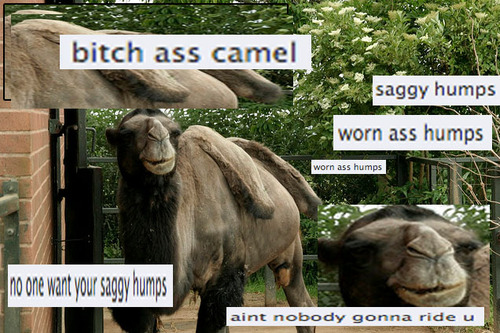 saggy-humps.jpg