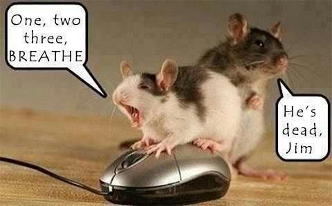 who-invented-the-computer-mouse-funny.jpg