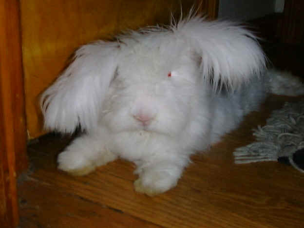 casper2.jpg