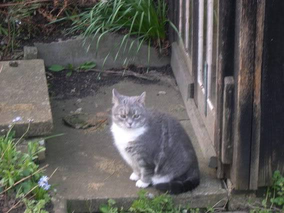 DSCN0398.jpg