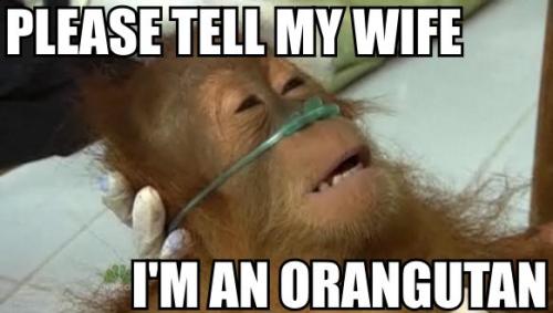tumblr_mia2ywYxqe1rp4zhbo1_500.jpg