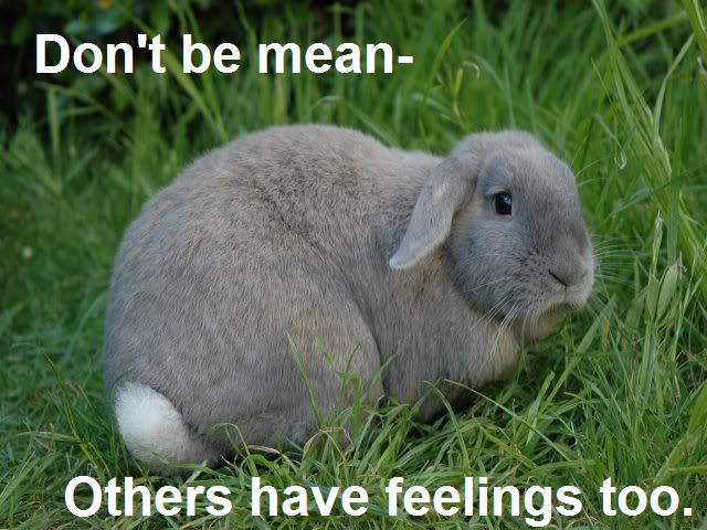 dont-be-mean-others-have-feelings-too.jpg