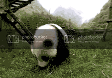tumblr_litoklMB3t1qdmbr2.gif