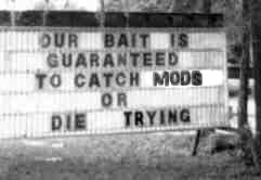 BAIT.jpg