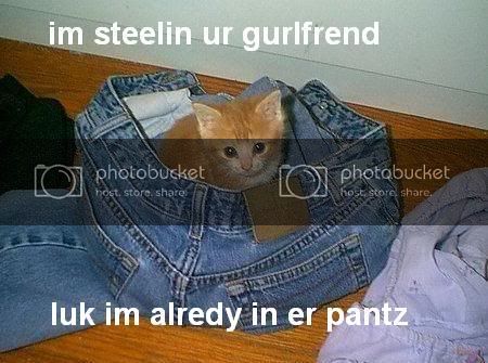 kittenpantz.jpg