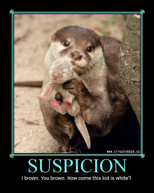 normal_Despair_-_Suspicion.jpg