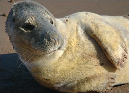 _42689247_seal416.jpg