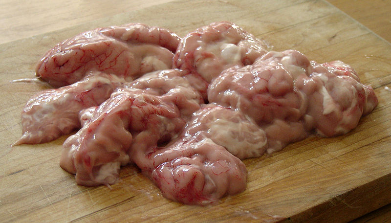 800px-Porkbrain.jpg