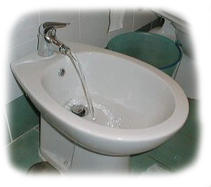bidet.jpg