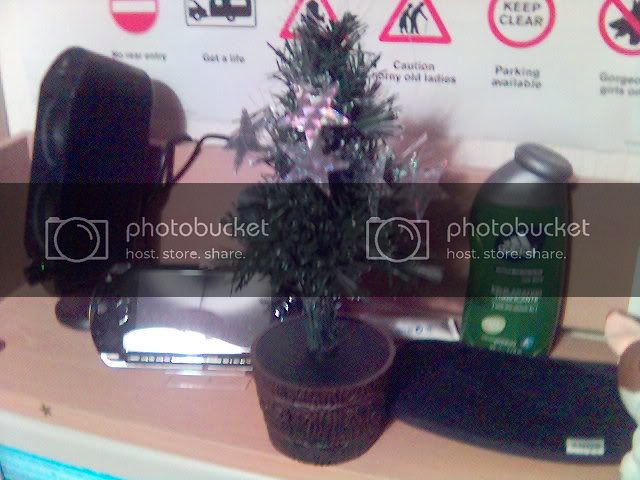 tree.jpg