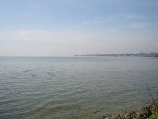 Picture023.jpg