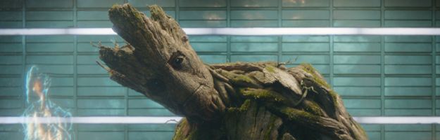 groot-header-3.jpg
