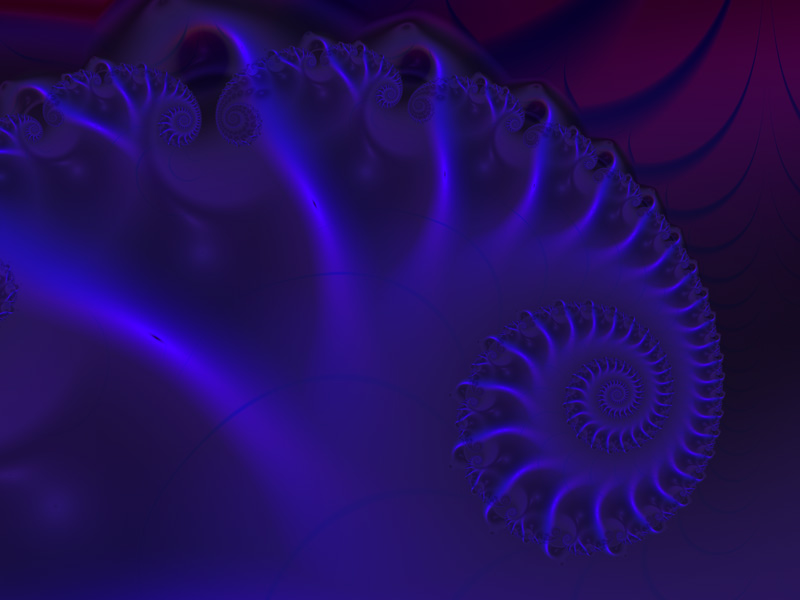 nautilus-wallpaper.jpg