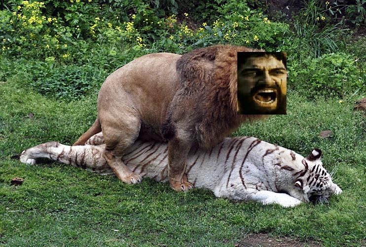 SpartaLion.jpg