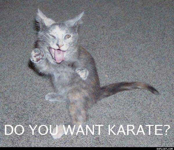 karate.jpg