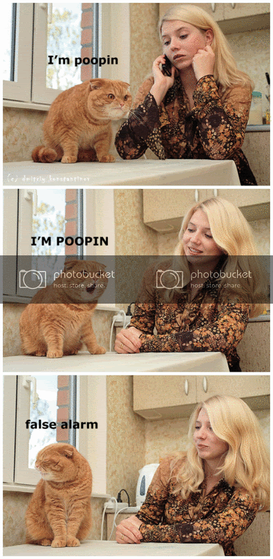 Untitled-1.gif