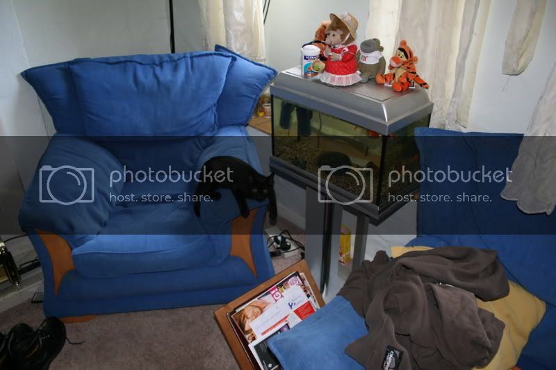 IMG_1245.jpg