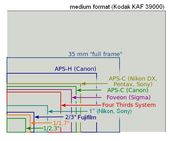 Sensor_sizes_overlaid_inside_2014.png