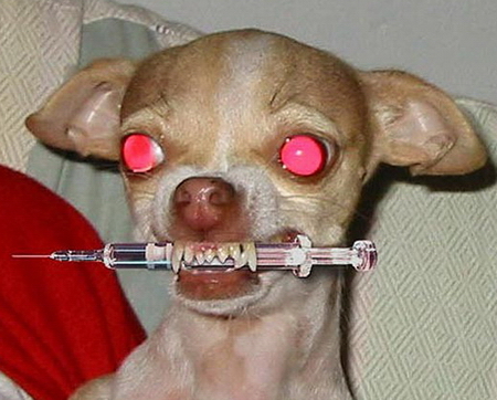 monsterdogjune2005.jpg