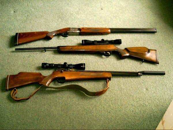 rifles.JPG