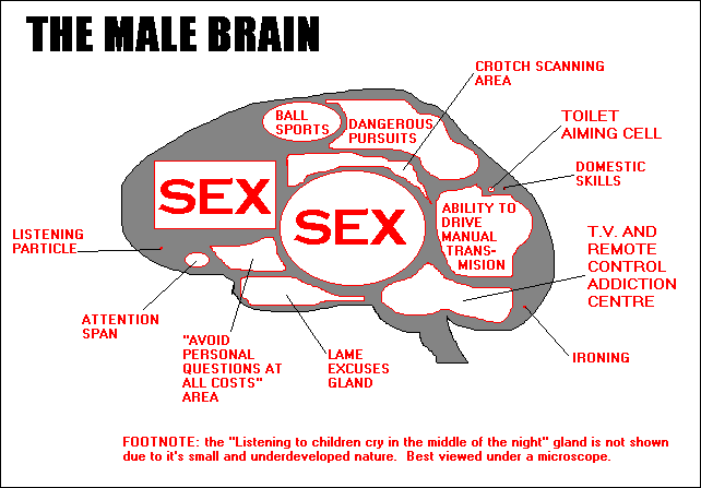 funny_sex_male_brain-s642x447-117585.gif