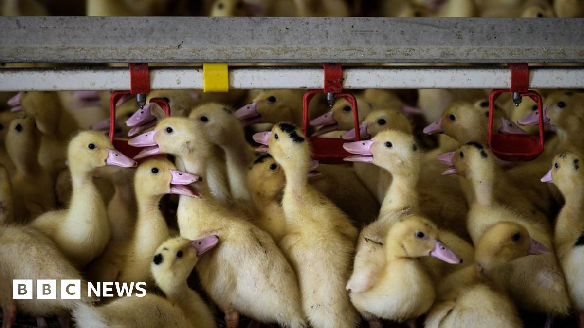 www.bbc.co.uk