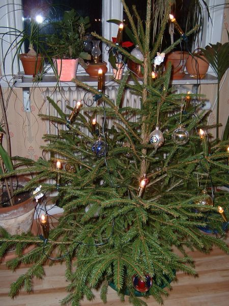 mini%20christmas%20tree.jpg