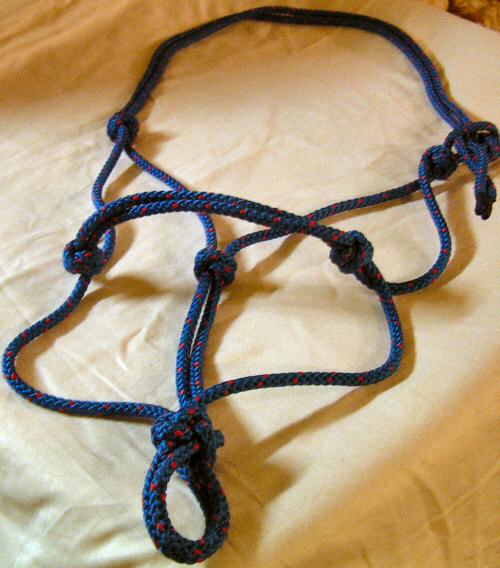 rope-halter-blue.jpg