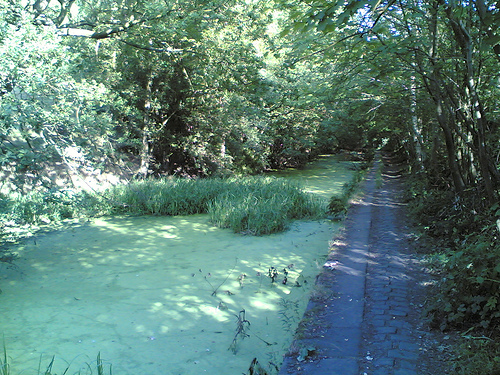 200504160_ba3d692a16.jpg