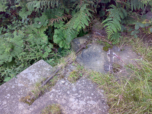 2374911882_73000de8ed.jpg