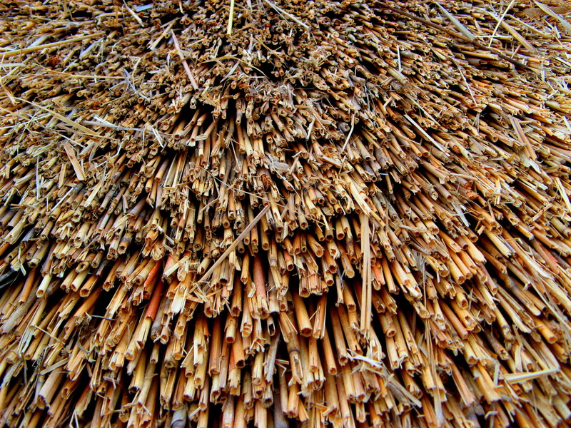 thatch_1_reed_ends.jpg