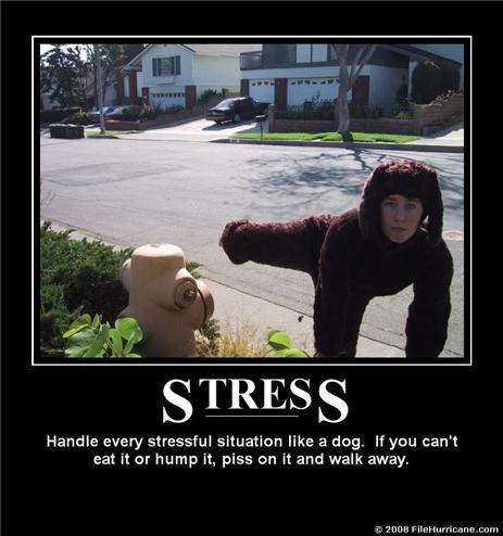 612200894620AM_Stress-demotivational-poster.jpg