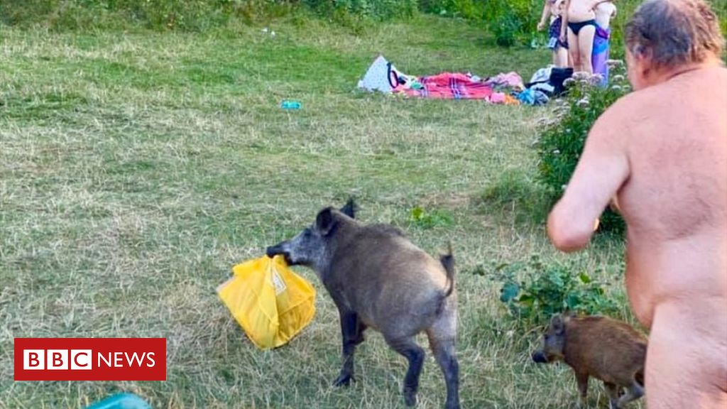 www.bbc.co.uk