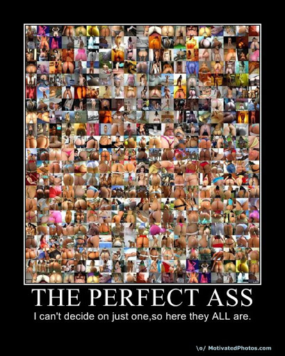 perfectass-montage.jpg