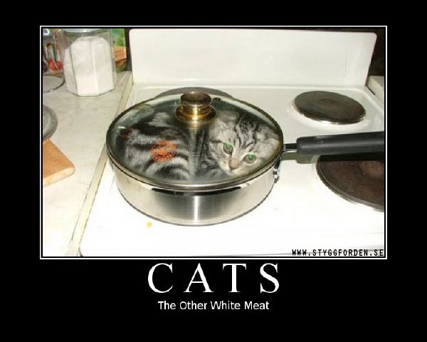 Despair_-_Cats_-_The_Other_White_meat.jpg