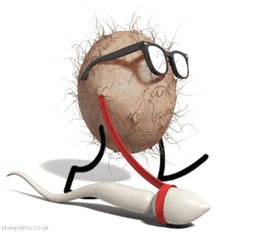 testiclewalk.gif