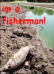 stlongfish.jpg
