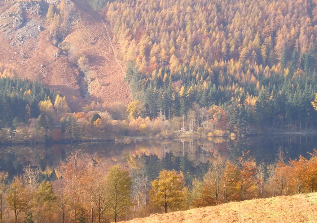 CAM_0317.jpg