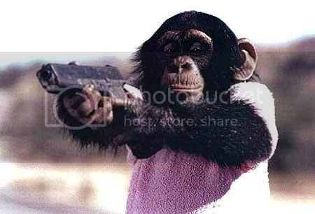 killer_monkey.jpg