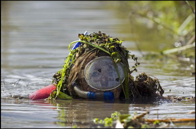 Julia%20Galvin%20bog%20snorkel%201.jpg