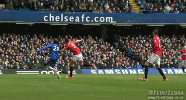 8609992448_edfddb183c_o.gif
